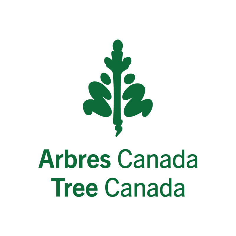 Arbres Canada avec des gâteaux Vachon à saveur d'érable
